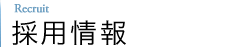採用情報